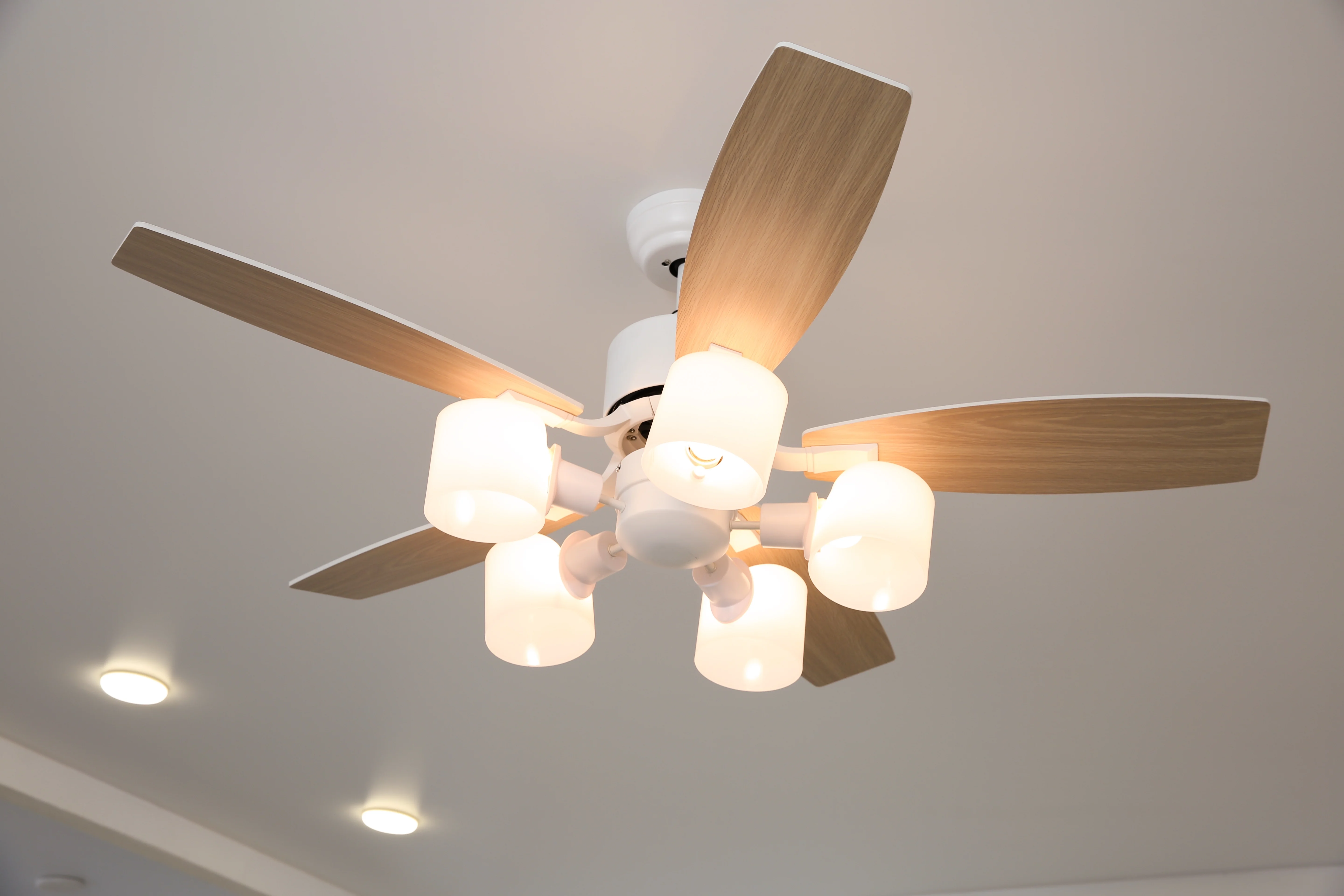 Ceiling Fan Installations on the Gold Coast by Blair Data & Electrical